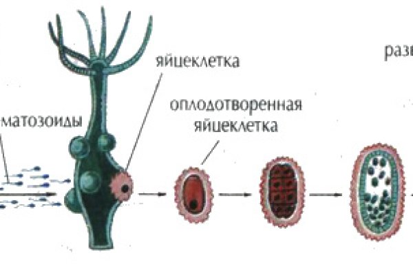 Кракен ссылка замена