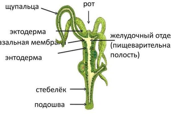 Кракен сайт официальный